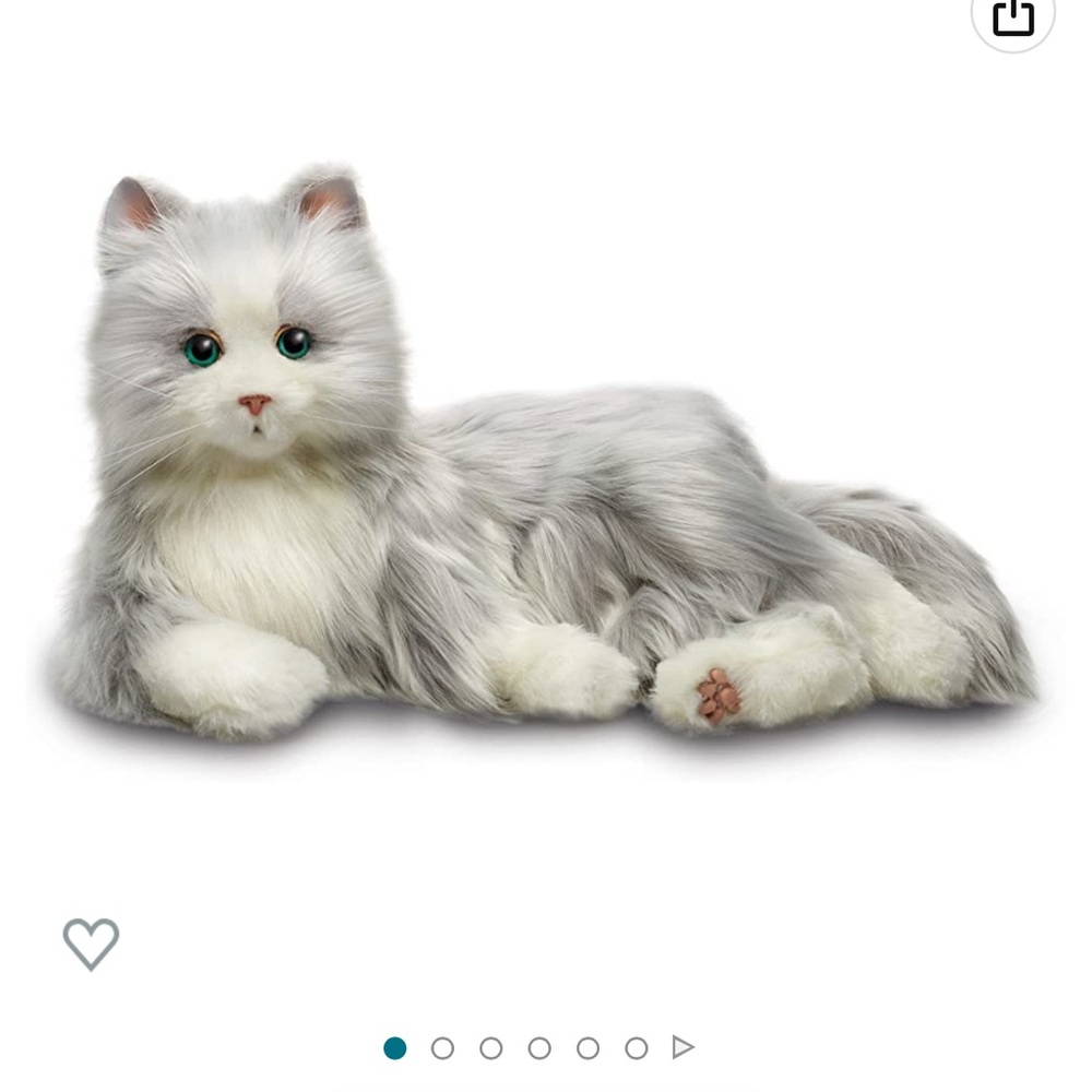 Dementia cat- pre-owned excellent condition.